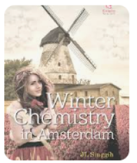 Image of Winter Chemistry in Amsterdam